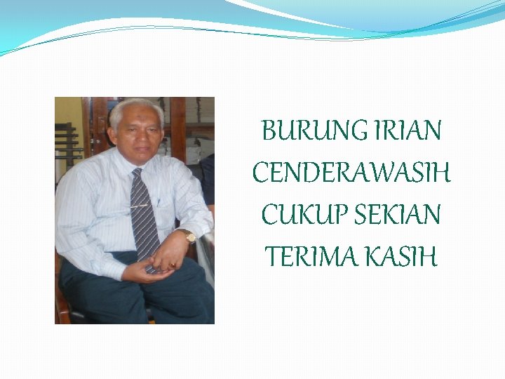 BURUNG IRIAN CENDERAWASIH CUKUP SEKIAN TERIMA KASIH 