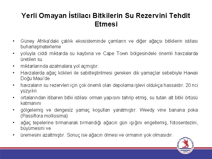 Yerli Omayan İstilacı Bitkilerin Su Rezervini Tehdit Etmesi • • • Güney Afrika’daki çalılık