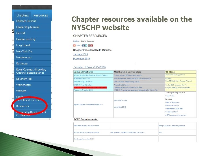 Chapter resources available on the NYSCHP website 
