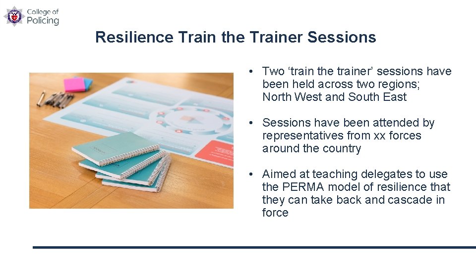 Resilience Train the Trainer Sessions • Two ‘train the trainer’ sessions have been held