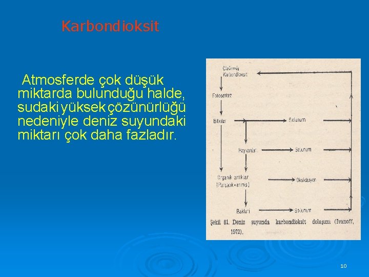 Karbondioksit Atmosferde çok düşük miktarda bulunduğu halde, sudaki yüksek çözünürlüğü nedeniyle deniz suyundaki miktarı