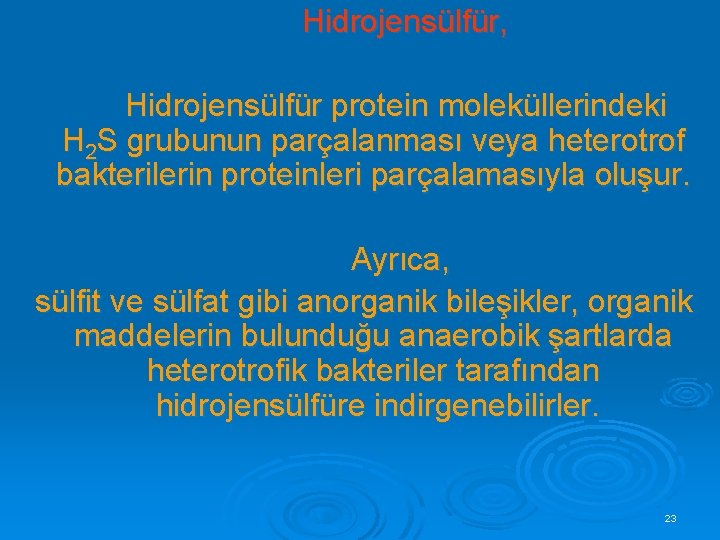 Hidrojensülfür, Hidrojensülfür protein moleküllerindeki H 2 S grubunun parçalanması veya heterotrof bakterilerin proteinleri parçalamasıyla