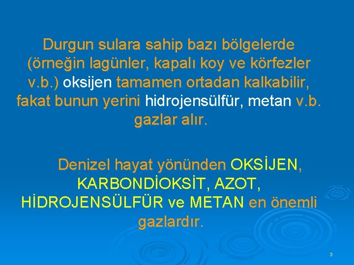 Durgun sulara sahip bazı bölgelerde (örneğin lagünler, kapalı koy ve körfezler v. b. )