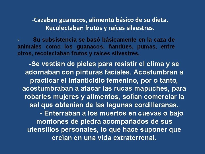 -Cazaban guanacos, alimento básico de su dieta. Recolectaban frutos y raíces silvestres. Su subsistencia