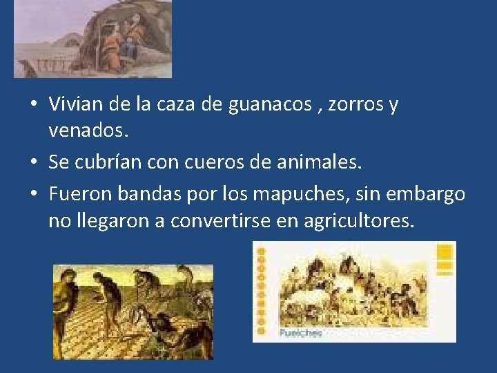  • Vivian de la caza de guanacos , zorros y venados. • Se