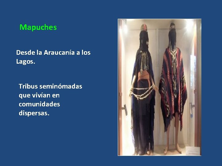 Mapuches Desde la Araucanía a los Lagos. Tribus seminómadas que vivían en comunidades dispersas.