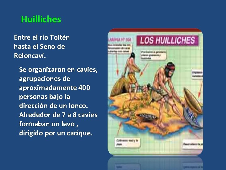 Huilliches Entre el río Toltén hasta el Seno de Reloncaví. Se organizaron en cavies,