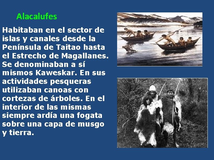 Alacalufes Habitaban en el sector de islas y canales desde la Península de Taitao