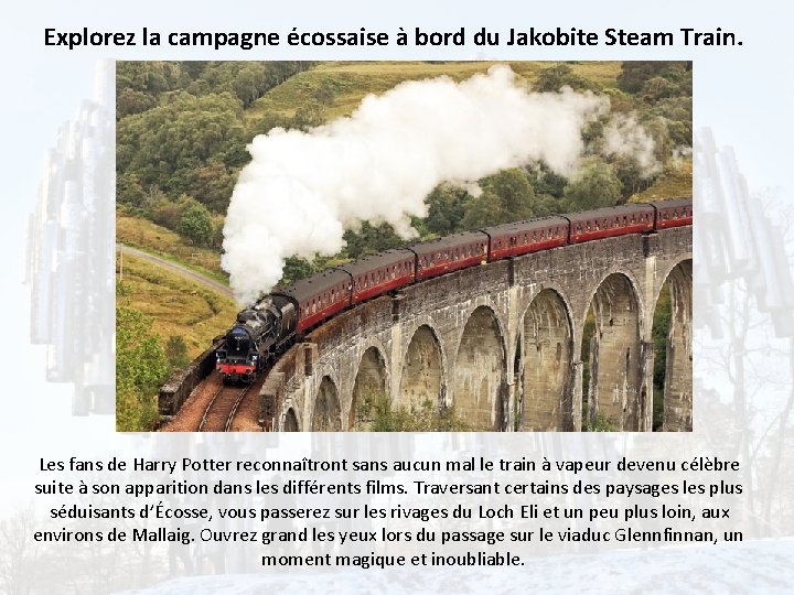 Explorez la campagne écossaise à bord du Jakobite Steam Train. Les fans de Harry