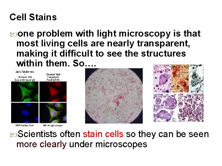 Cell Stains one problem with light microscopy is that most living cells are nearly