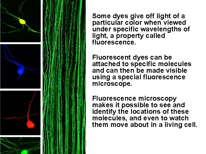 Some dyes give off light of a particular color when viewed under specific wavelengths