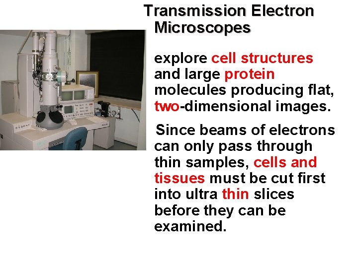 Transmission Electron Microscopes explore cell structures and large protein molecules producing flat, two-dimensional images.