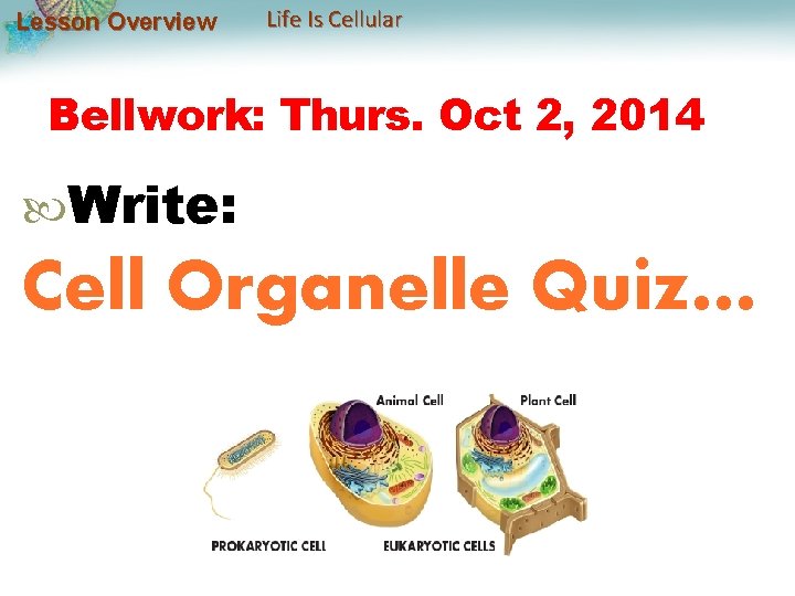 Lesson Overview Life Is Cellular Bellwork: Thurs. Oct 2, 2014 Write: Cell Organelle Quiz…