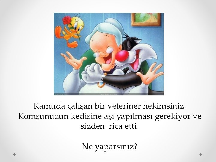 Kamuda çalışan bir veteriner hekimsiniz. Komşunuzun kedisine aşı yapılması gerekiyor ve sizden rica etti.