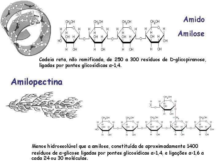 Amido Amilose Cadeia reta, não ramificada, de 250 a 300 resíduos de D-glicopiranose, ligadas