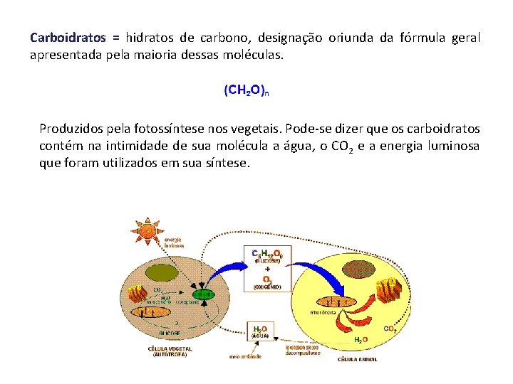 Carboidratos = hidratos de carbono, designação oriunda da fórmula geral apresentada pela maioria dessas