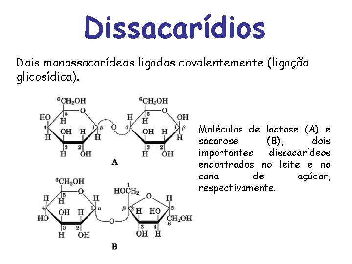 Dissacarídios Dois monossacarídeos ligados covalentemente (ligação glicosídica). Moléculas de lactose (A) e sacarose (B),