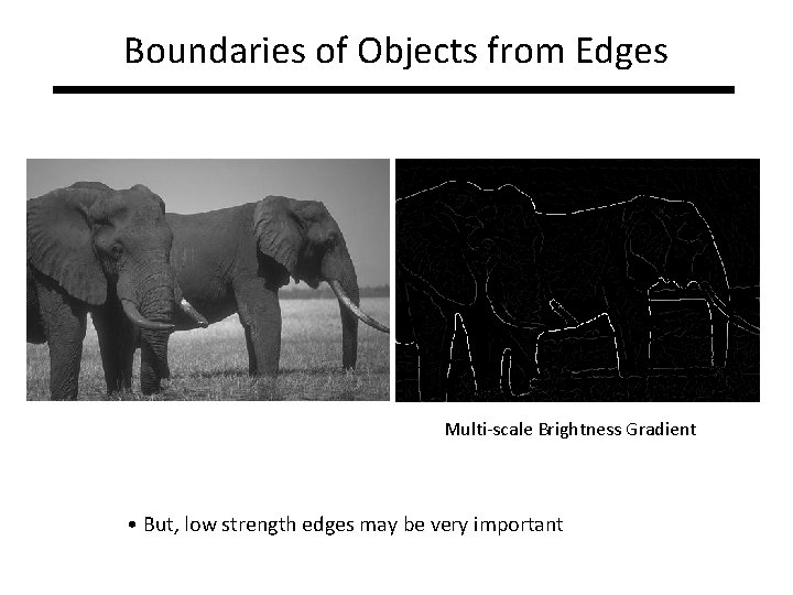 Boundaries of Objects from Edges Multi-scale Brightness Gradient • But, low strength edges may Boundaries of Objects from Edges Multi-scale Brightness Gradient • But, low strength edges may