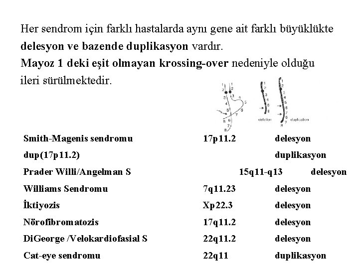 Her sendrom için farklı hastalarda aynı gene ait farklı büyüklükte delesyon ve bazende duplikasyon