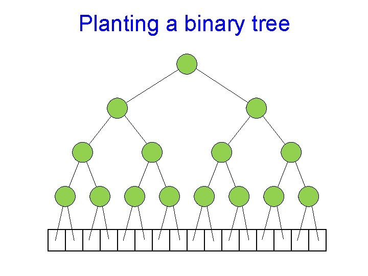 Planting a binary tree 