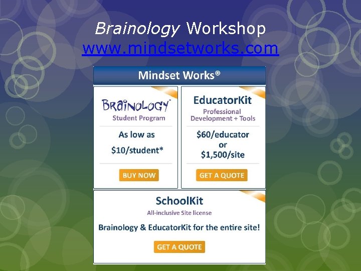 Brainology Workshop www. mindsetworks. com 