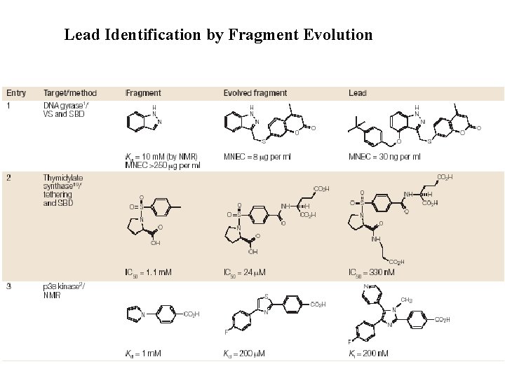 Lead Identification by Fragment Evolution 