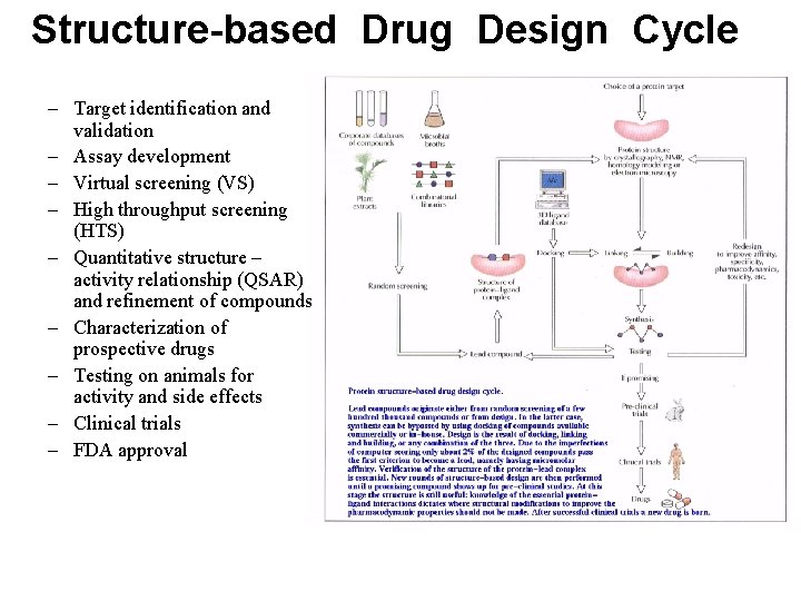 Structure-based Drug Design Cycle – Target identification and validation – Assay development – Virtual