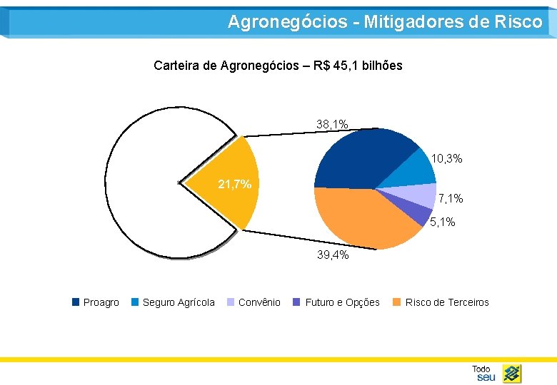 Agronegócios - Mitigadores de Risco Carteira de Agronegócios – R$ 45, 1 bilhões 38,