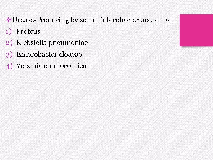 v. Urease-Producing by some Enterobacteriaceae like: 1) Proteus 2) Klebsiella pneumoniae 3) Enterobacter cloacae