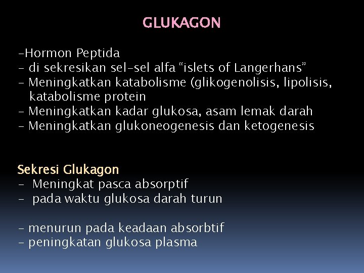 GLUKAGON -Hormon Peptida - di sekresikan sel-sel alfa “islets of Langerhans” - Meningkatkan katabolisme