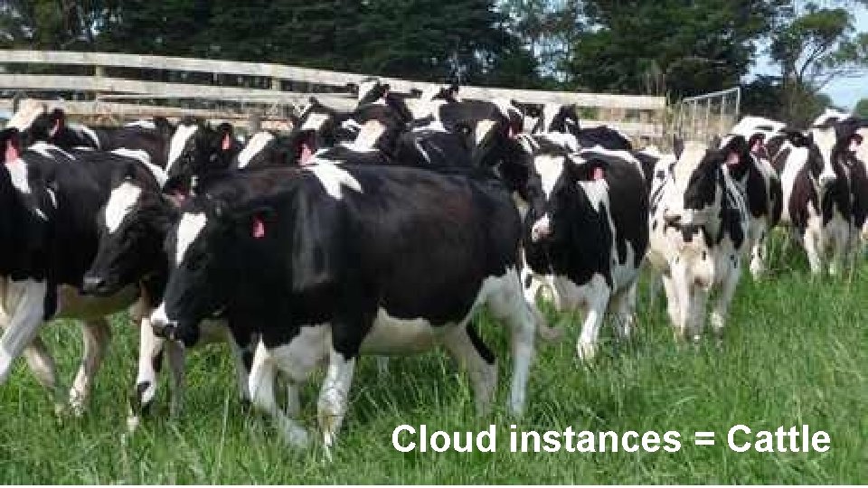 Cloud instances = Cattle 