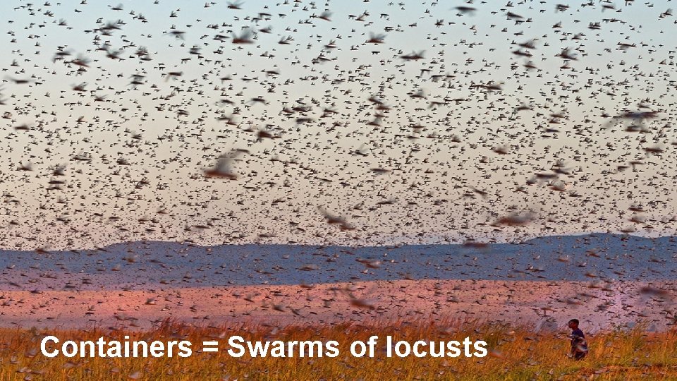 Containers = Swarms of locusts 