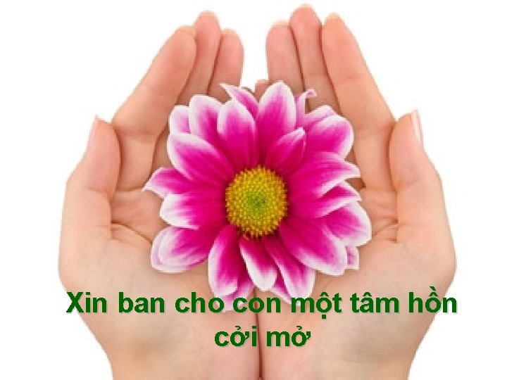 Xin ban cho con một tâm hồn cởi mở 