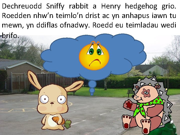 Dechreuodd Sniffy rabbit a Henry hedgehog grio. Roedden nhw’n teimlo’n drist ac yn anhapus