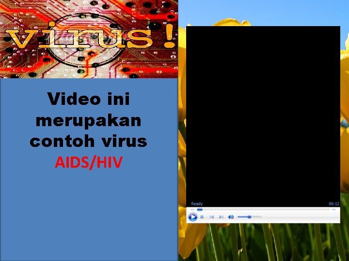 Video ini merupakan contoh virus AIDS/HIV 