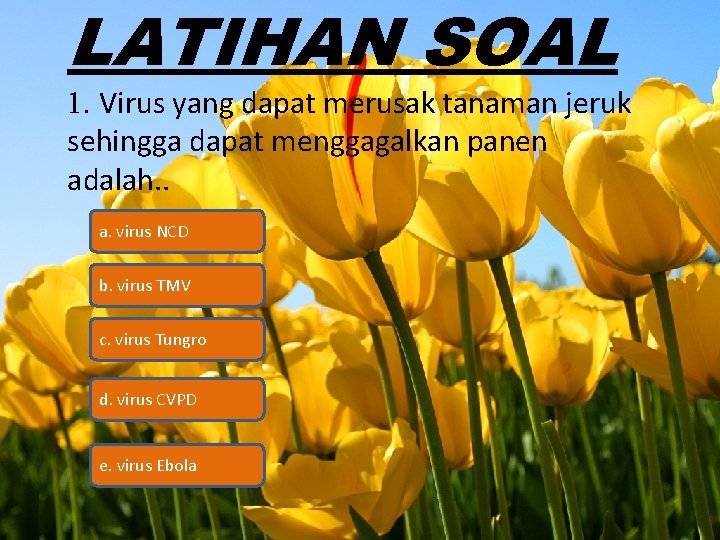 LATIHAN SOAL 1. Virus yang dapat merusak tanaman jeruk sehingga dapat menggagalkan panen adalah.