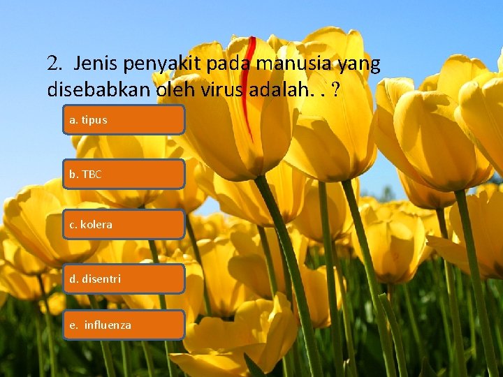 2. Jenis penyakit pada manusia yang disebabkan oleh virus adalah. . ? a. tipus