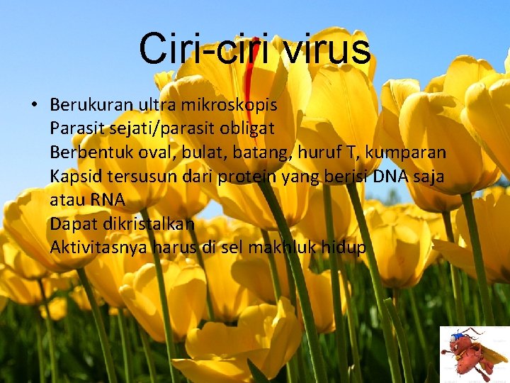 Ciri-ciri virus • Berukuran ultra mikroskopis Parasit sejati/parasit obligat Berbentuk oval, bulat, batang, huruf
