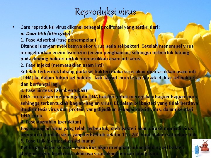 Reproduksi virus • Cara reproduksi virus dikenal sebagai proliferasi yang terdiri dari: a. Daur