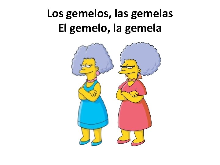 Los gemelos, las gemelas El gemelo, la gemela 