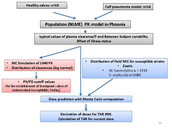 Healthy calves: n=10 Calf pneumonia model: n=16 Population (NLME) PK model in Phoenix typical