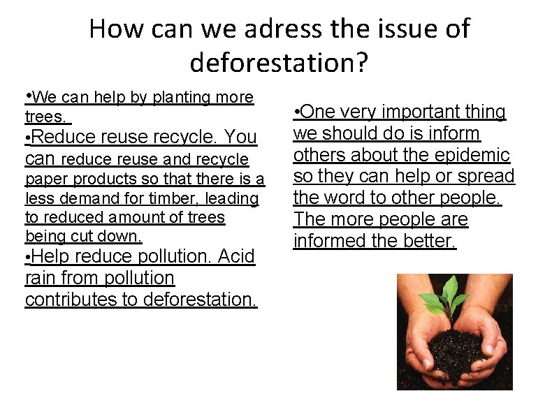 How can we adress the issue of deforestation? • We can help by planting