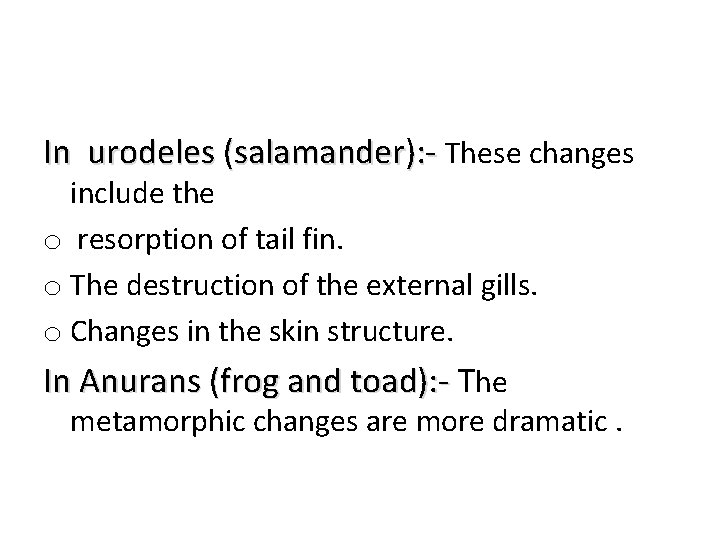 In urodeles (salamander): - These changes include the o resorption of tail fin. o