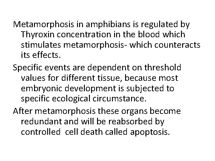 Metamorphosis in amphibians is regulated by Thyroxin concentration in the blood which stimulates metamorphosis-