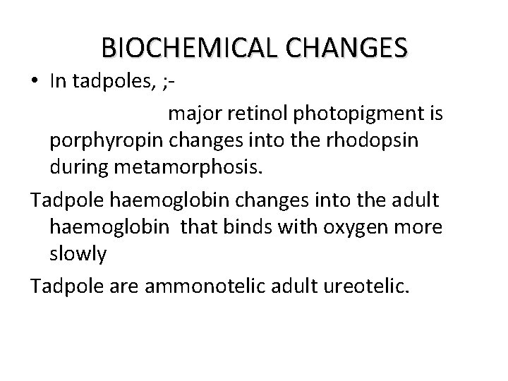 BIOCHEMICAL CHANGES • In tadpoles, ; major retinol photopigment is porphyropin changes into the