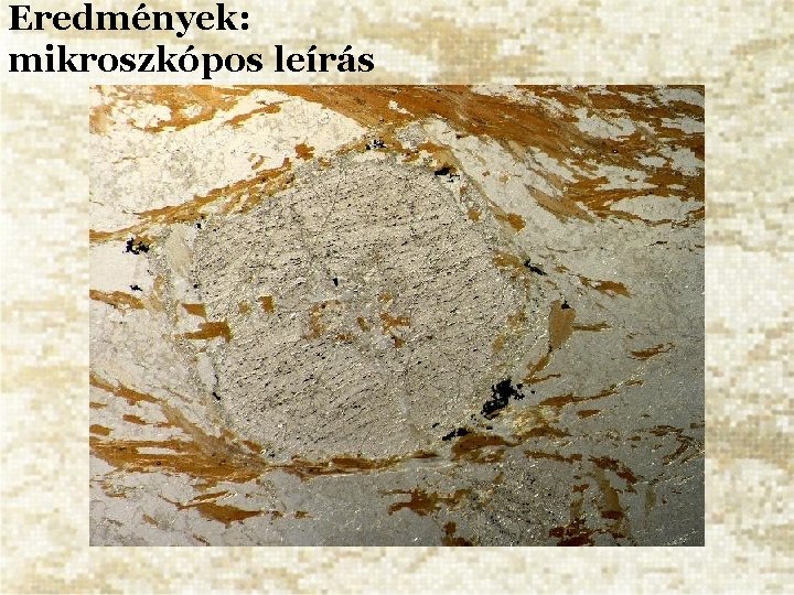 Eredmények: mikroszkópos leírás 