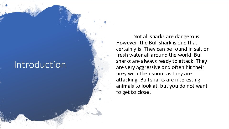 Introduction Not all sharks are dangerous. However, the Bull shark is one that certainly