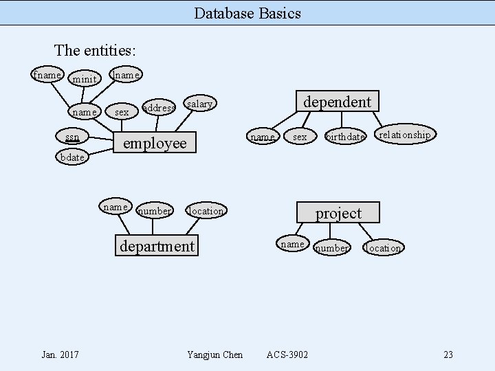 Database Basics The entities: fname minit lname sex ssn bdate name employee name number