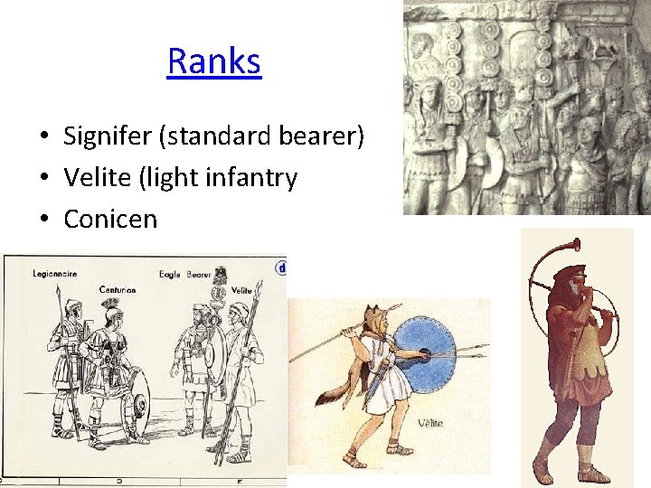 Ranks • Signifer (standard bearer) • Velite (light infantry • Conicen 