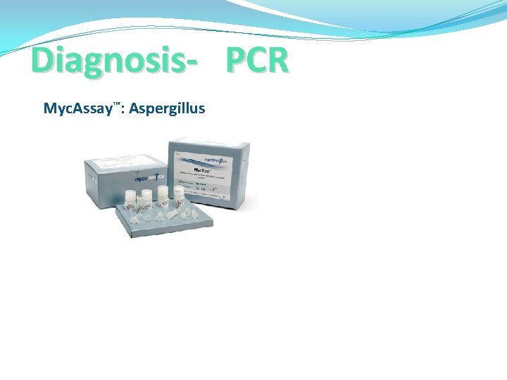 Diagnosis- PCR Myc. Assay™: Aspergillus 